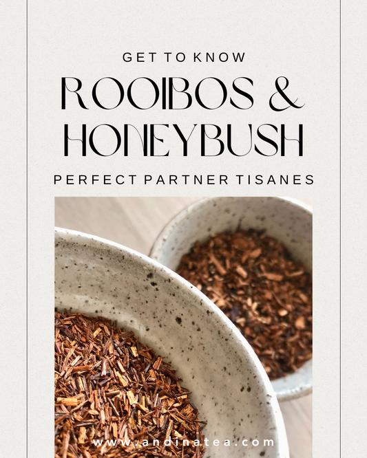 Rooibos and Honeybush tisanes